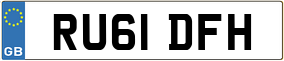 Trailer License Plate